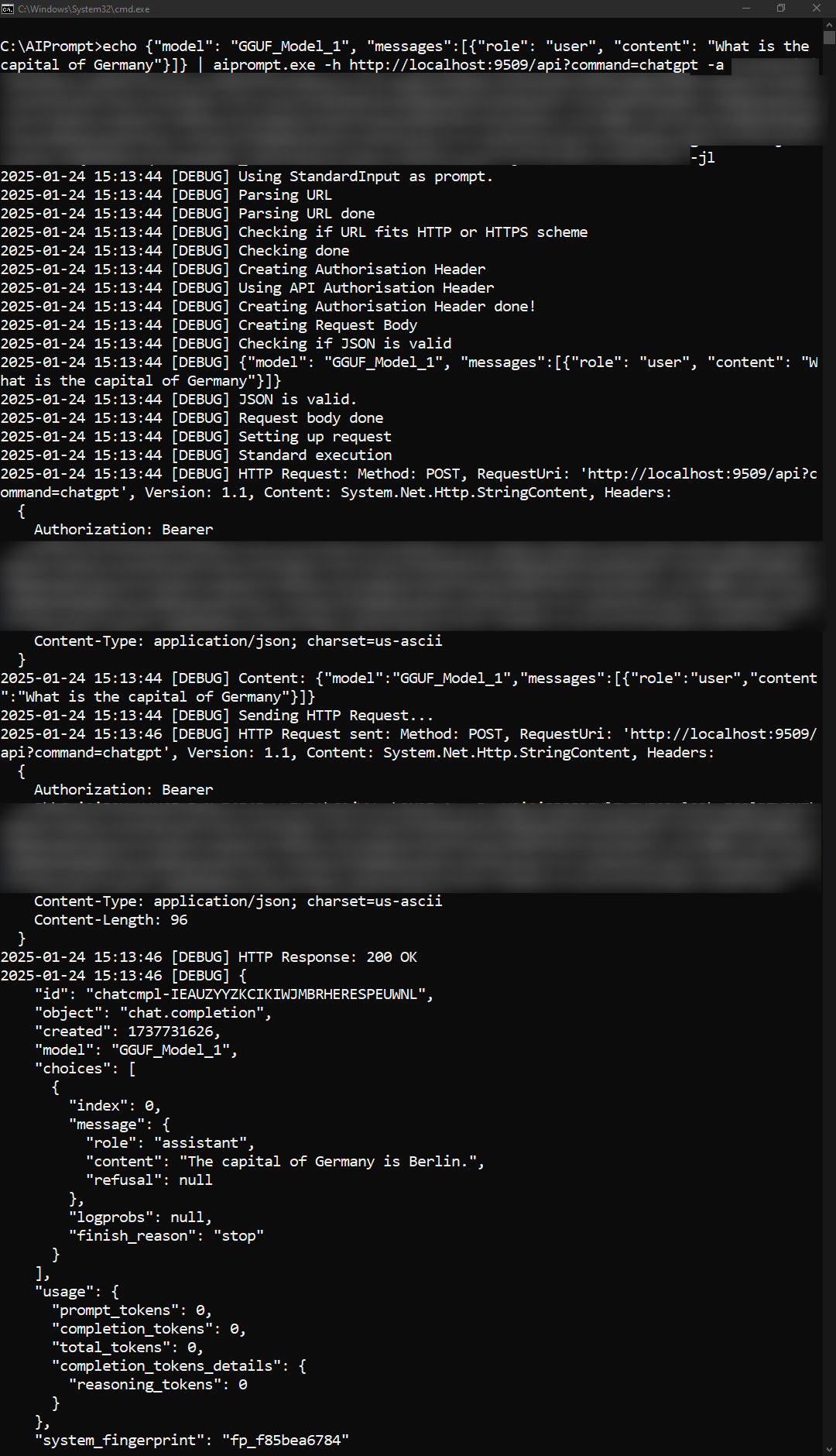 Send JSON prompt with API Key Authentication using standard I/O and logging mode